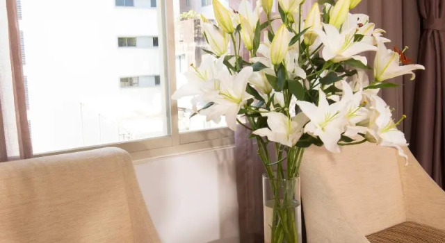 Двухместный номер Nicecy Hotel – Nguyen Trai Street