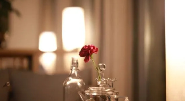Xinyang Nanwan Lake Camellia Hotel, Book Hotel Xinyang Henan