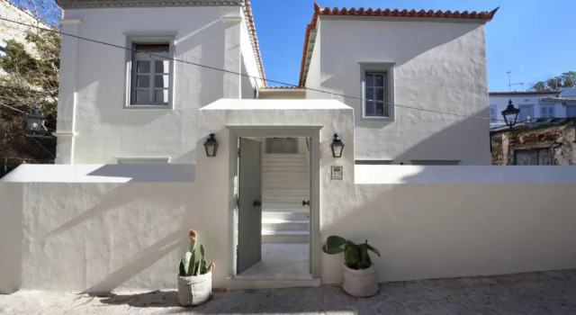 Cactus Hydra - Art Apartments