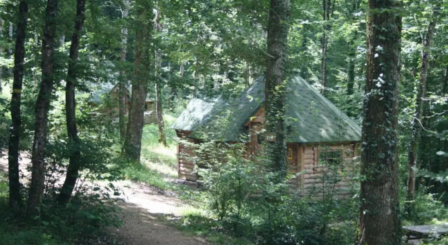 Шале La Buissonnière Lodges
