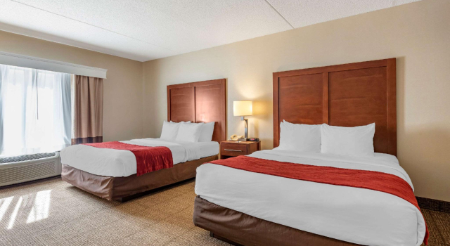 Четырёхместный номер Standard Comfort Inn & Suites