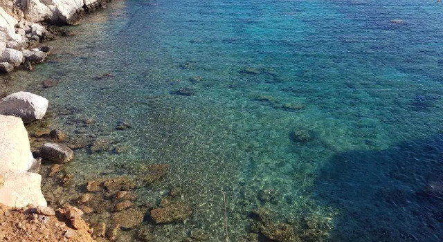 Коттедж Villa Sealine