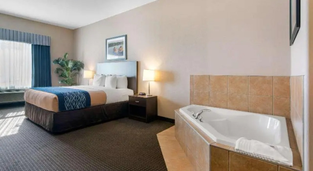 Номер Standard Comfort Inn & Suites