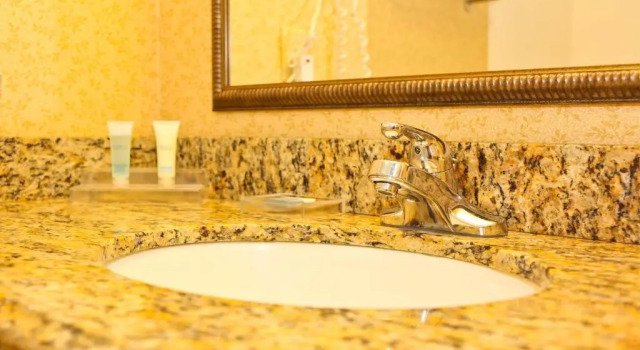 Люкс Executive Inn & Suites