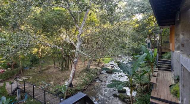 Номер Premier The Stream House