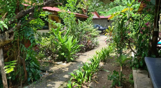 Gecko Guesthouse Langkawi, Boek Hotel Pantai Cenang 