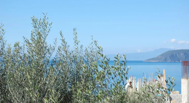 Коттедж c 1 комнатой Amoni Holiday Homes