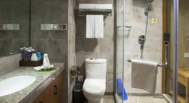 Люкс Deluxe Blossom  Tao Hotel （Hangzhou Olympic Center）