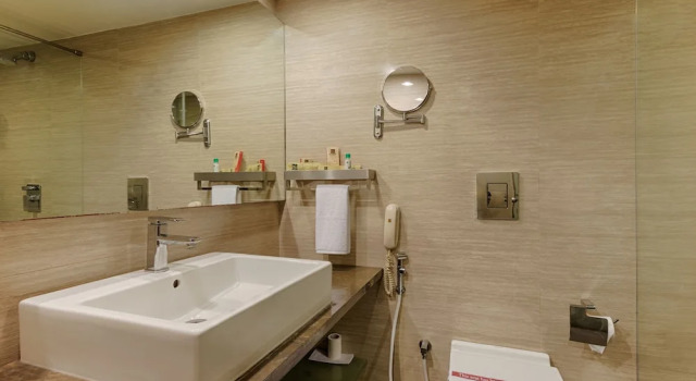 Четырёхместный номер Executive Quality Hotel D V Manor