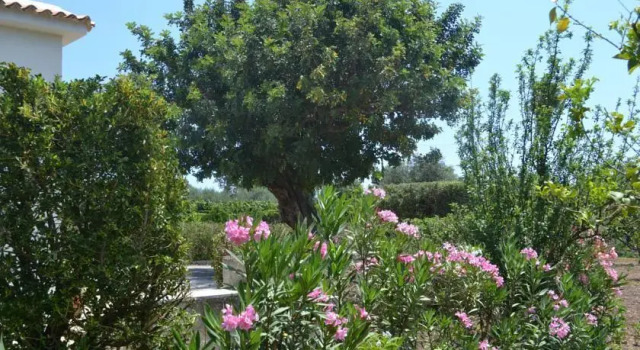 Casa del Carrubo