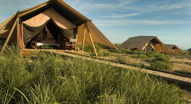 Тент Sal Salis Ningaloo Reef