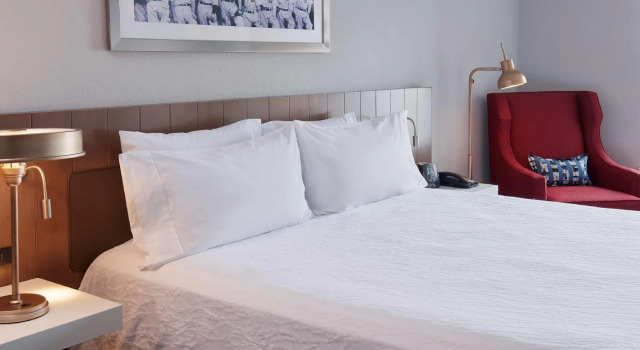 Двухместный номер Standard Hilton Garden Inn Detroit Downtown