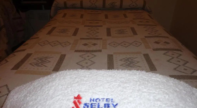 Одноместный номер Standard Hotel Selby