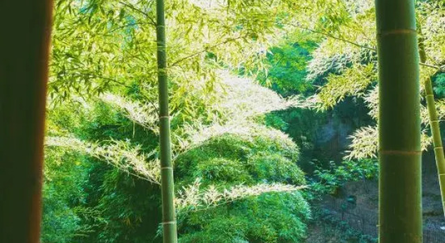 Changsha Nanting Shiguang Homestay, Prenota Hotel Hotel a Changsha con piscina, Piscina