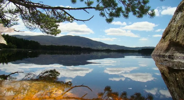Шале с 2 комнатами с видом на озеро The Boat House Chalet - Boat of Garten - Near Aviemore - Sleeps 6