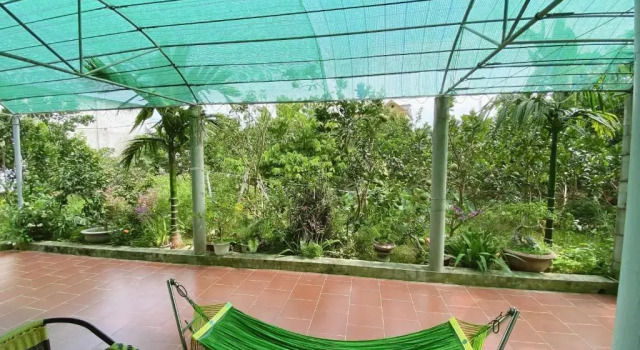Номер Standard Tre Xanh Homestay