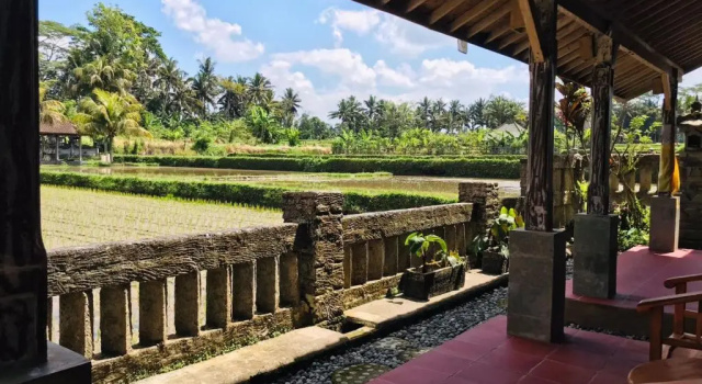 Двухместный номер Standard Ananda JJ Ubud Resort & Spa