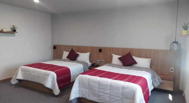 Люкс Deluxe Oaxaca Inn Reforma