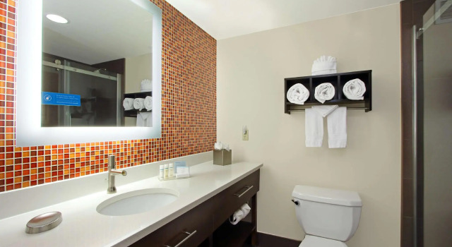 Двухместный номер Standard Hampton Inn & Suites Columbus-Downtown, Ohio