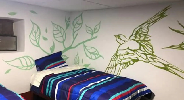 Yurtta yatak Déjà Vu Backpackers