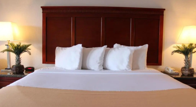 Двухместный номер Rodeway Inn Santa Clara El Camino Real