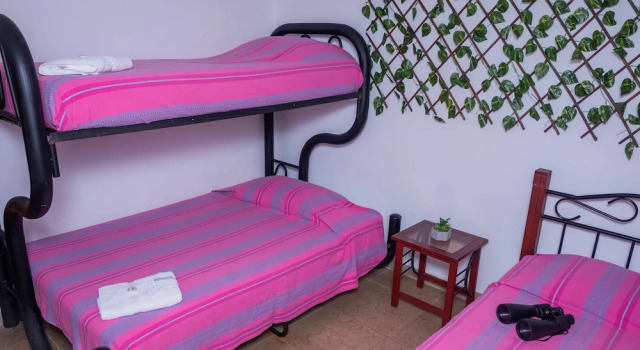 2 Bedrooms Standard Family room Ecovilla Cali