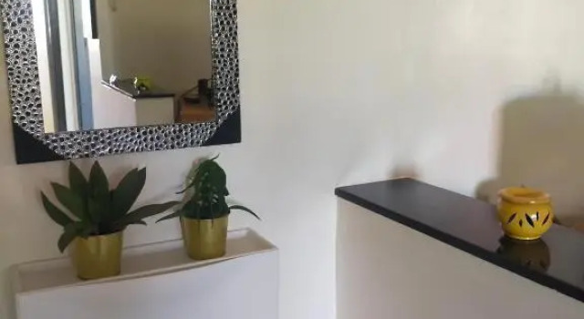Entire Apartment