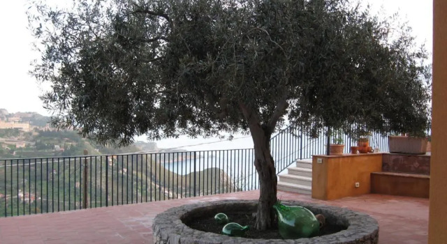 Апартаменты с 2 комнатами The Lemon Tree