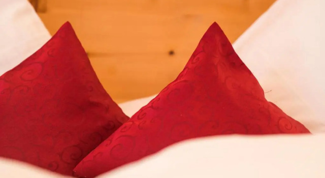 Номер Superior Bergsporthotel Antonie