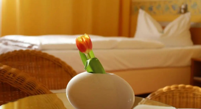 Одноместный номер Standard Parkhotel Klüschenberg