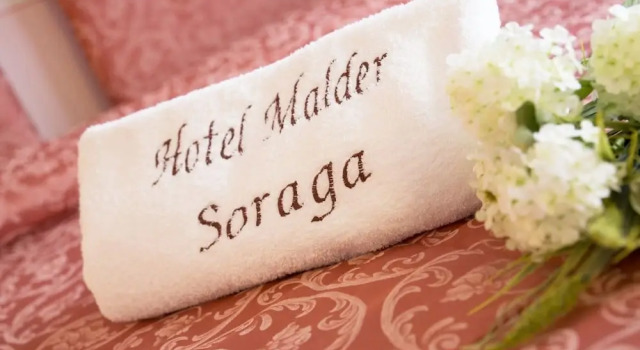 Двухместный номер Standard с балконом Hotel Malder