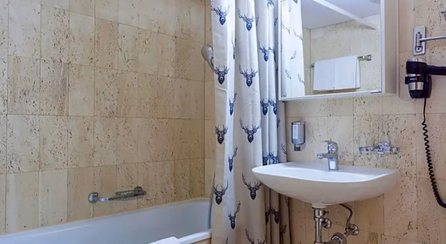 Номер Standard Boutique Hotel Cervus