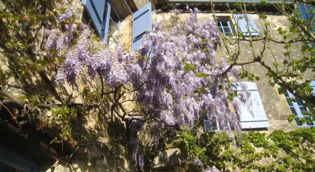 La Maison d'Hôtes Chez Delphine, Book Hotel Hotels in Tarn with Breakfast, Breakfasts