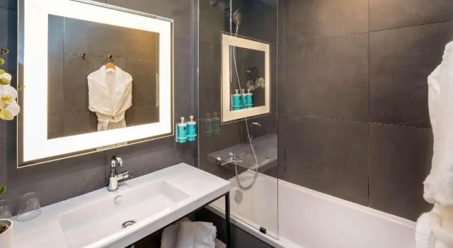 Люкс Novotel Angers Lac de Maine