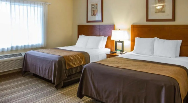 Четырёхместный номер Deluxe с видом на бассейн Comfort Inn Cockatoo Near LAX Airport