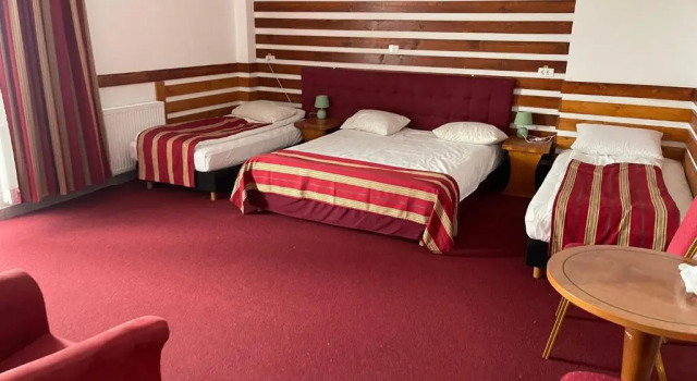 Номер Superior Sura Getilor -Nature Resort & Spa Bucovina