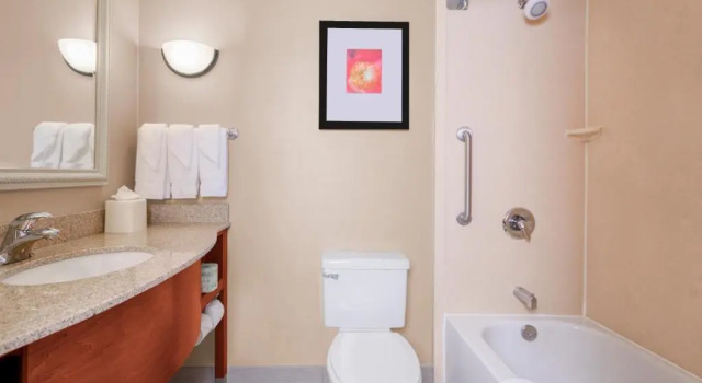 Четырёхместный номер Standard Hilton Garden Inn Independence
