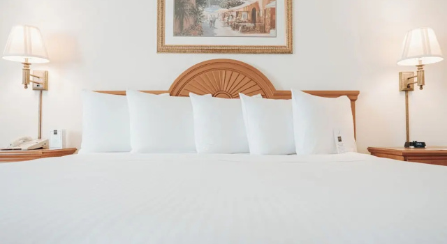 Двухместный номер Standard Ann Arbor Regent Hotel and Suites