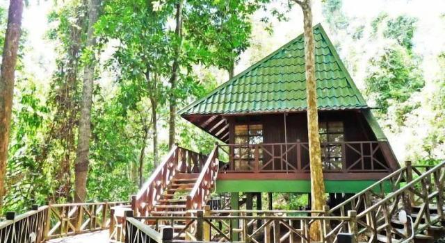 Номер Standard Tabin Wildlife Resort