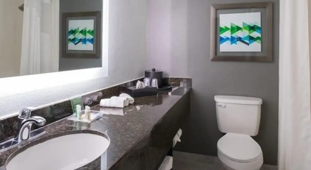 Люкс c 1 комнатой Holiday Inn Hotel & Suites Beaumont Plaza (I-10 & Walden) by IHG