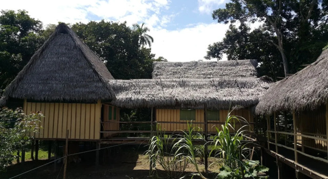 Номер Economy Curuhuinsi Lodge