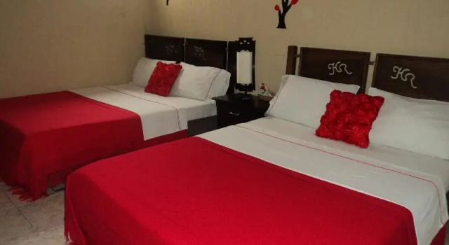 Standard Zimmer HCR Cali
