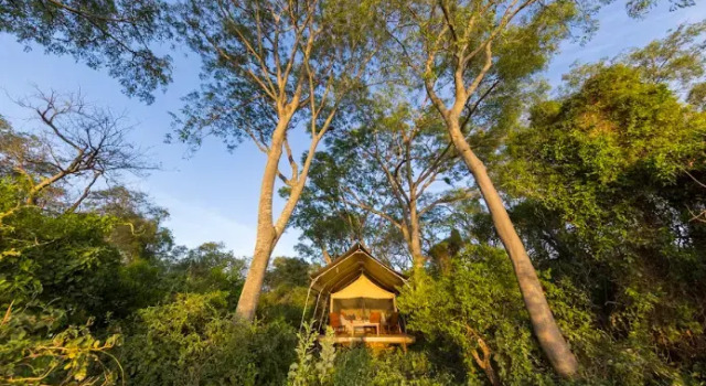 Glamping Los Palmares, Boek Camping Las Lomitas Formosa Province