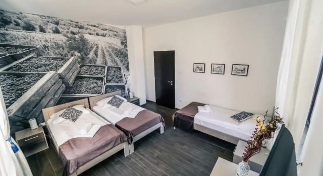 Номер Standard Bagrina Suites