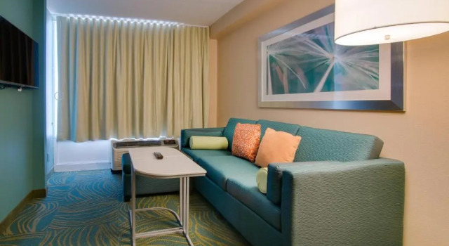 Четырёхместный люкс SpringHill Suites by Marriott Orlando Lake Buena Vista South