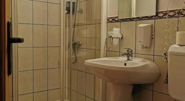Двухместный номер Standard PENSIUNEA VALEA CETATII