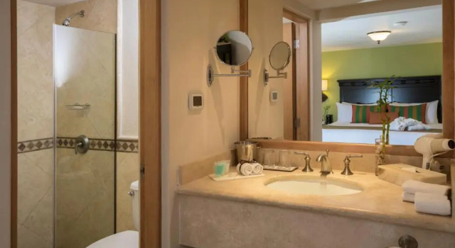 Номер Standard с видом на гавань Hotel Tesoro Los Cabos