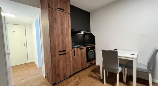 Апартаменты Charming 1-bed Apartment in Saas-fee