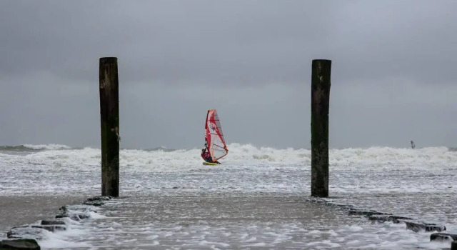Boszicht aan de Kust 2
