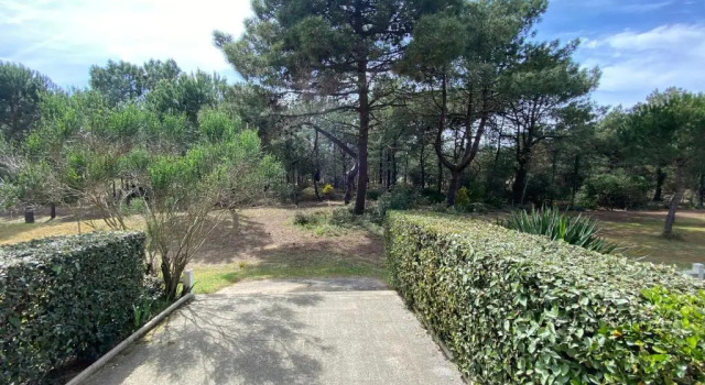 Appartement au bord de mer